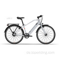 Customized Electric Commuter Bike